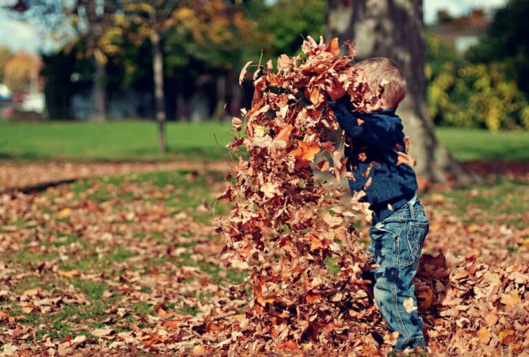 10 Tipps für den Herbst mit Kindern
