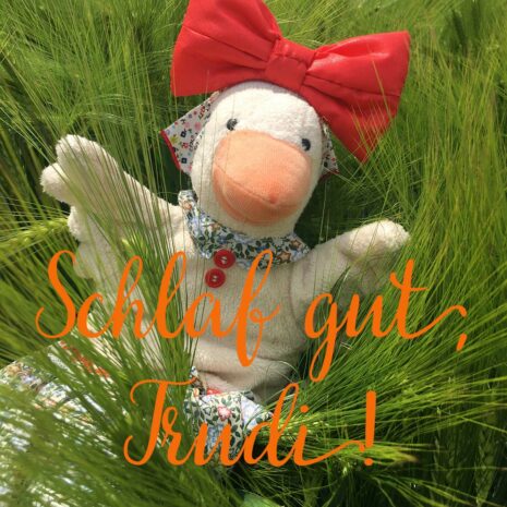 Cover Hörspiel Schlaf gut, liebe Trudi - Trudi liegt im Feld
